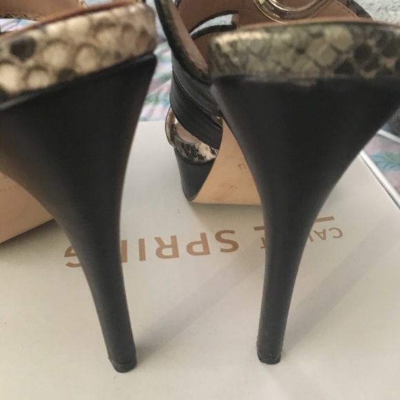 🌺🌸Call it spring 🌺🌸 snake print heels❤️ - Picture 5 of 5